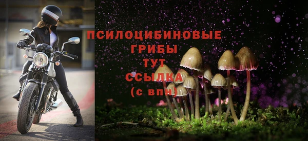 мяу мяу мука Алзамай