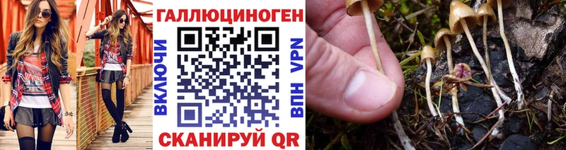Галлюциногенные грибы мицелий цена наркотик Кизел